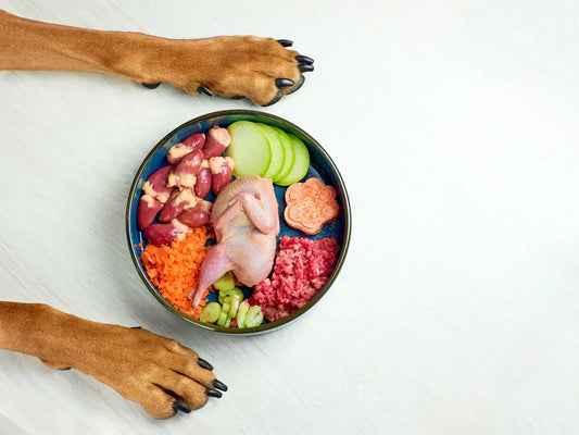 Vitaminer och mineralämnens samspel i hundens näring