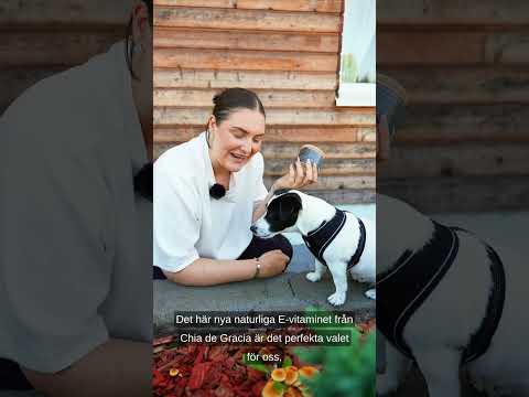 naturligt vitamin E gför hundar, CDGE