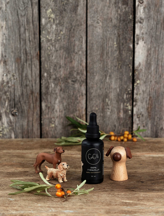 CdG Sea buckthorn - havthornsolja för hundar