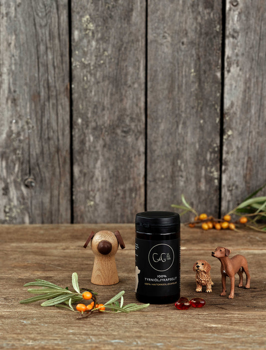 CdG Sea buckthorn - havtornsoljekapslar för hundar