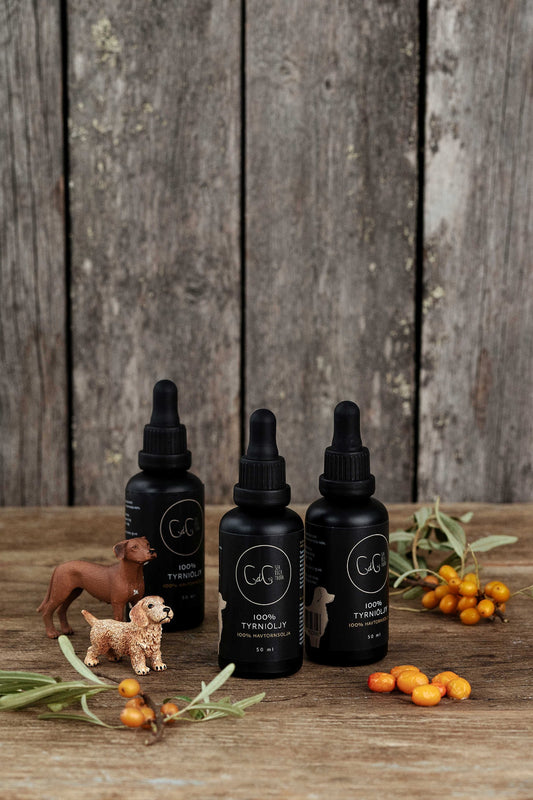 CdG Sea buckthorn - havthornsolja för hundar