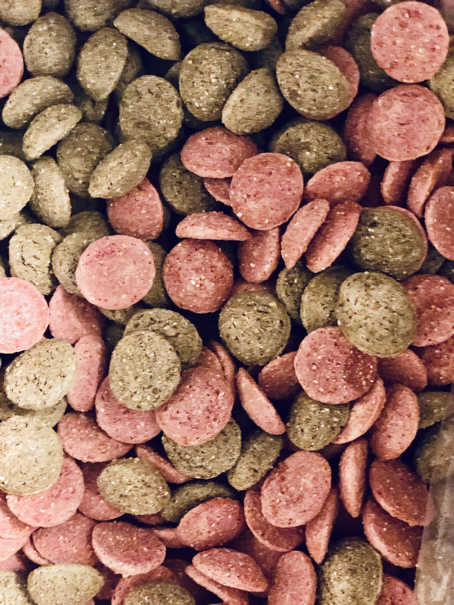 Carrot & Herbs Treats - Chia de Gracia SE (4480547061831)