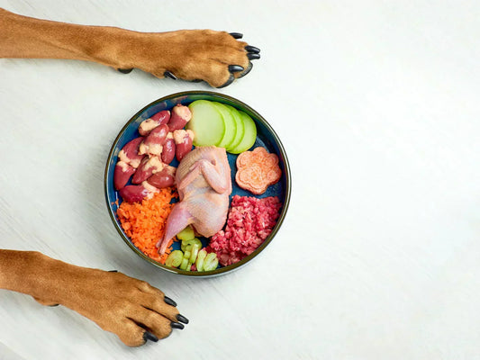 Vitaminer och mineralämnens samspel i hundens näring