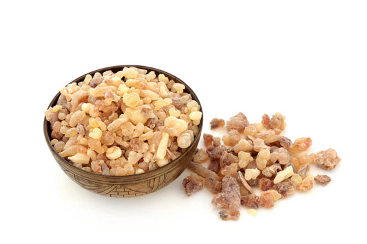 Boswellia hos häst – vad säger forskningen egentligen?