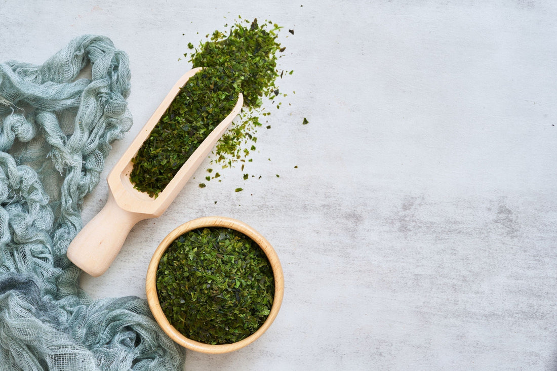 ascophyllum alger för hundar