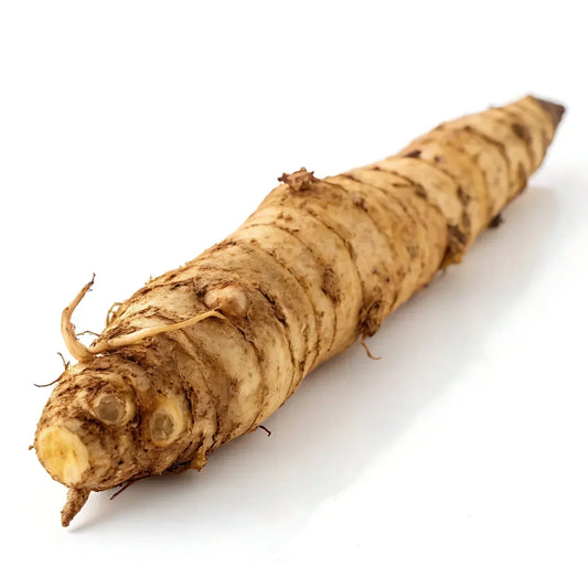 Inulin som en del av den näringsmässiga balansen i hästens matsmältning och mikrobiota