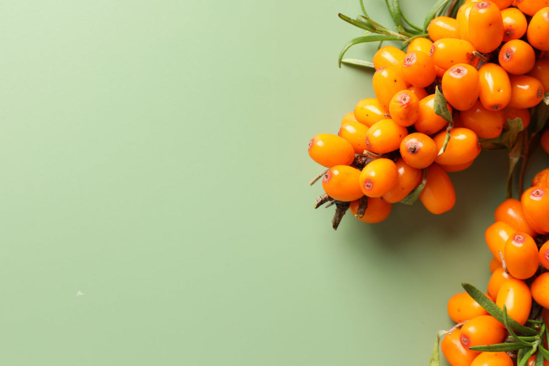 havtorn i hundens och hästens näring