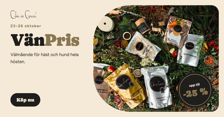 CDG VÄNPRIS för hundar, REA -20%
