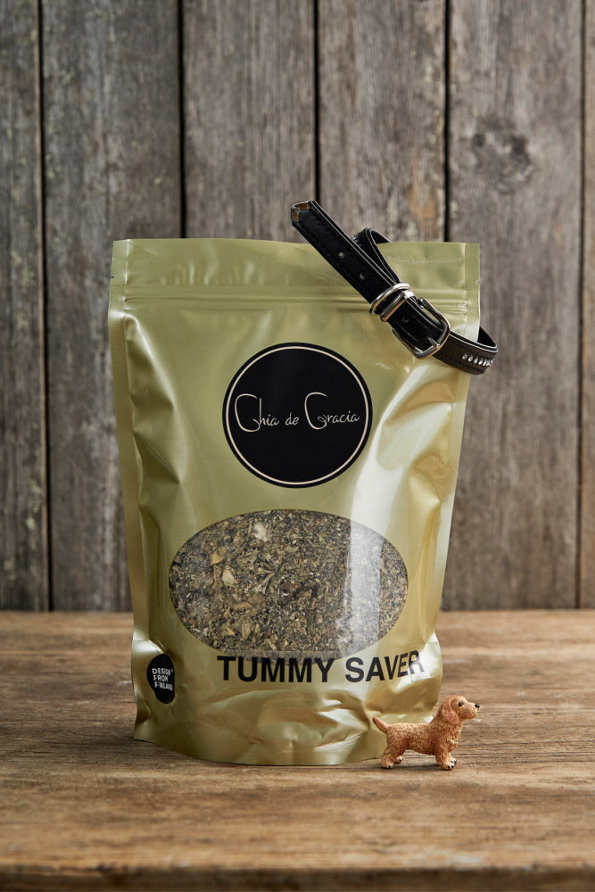 Tummy Saver 600 g för hundar (4967528464455)