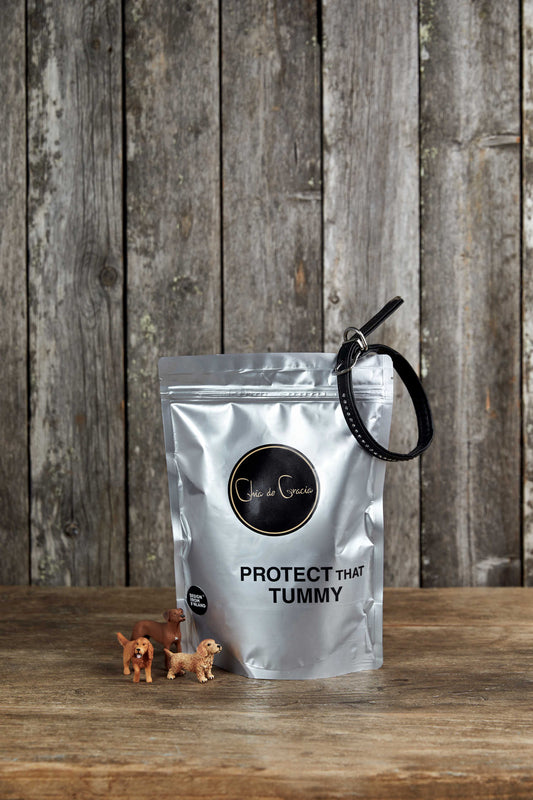 Protect That Tummy 500 g för hundar (4134058164295)